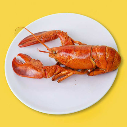 Picture of Prawn Big