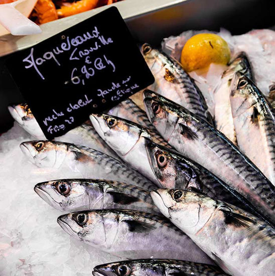 Picture of Frozen Fish